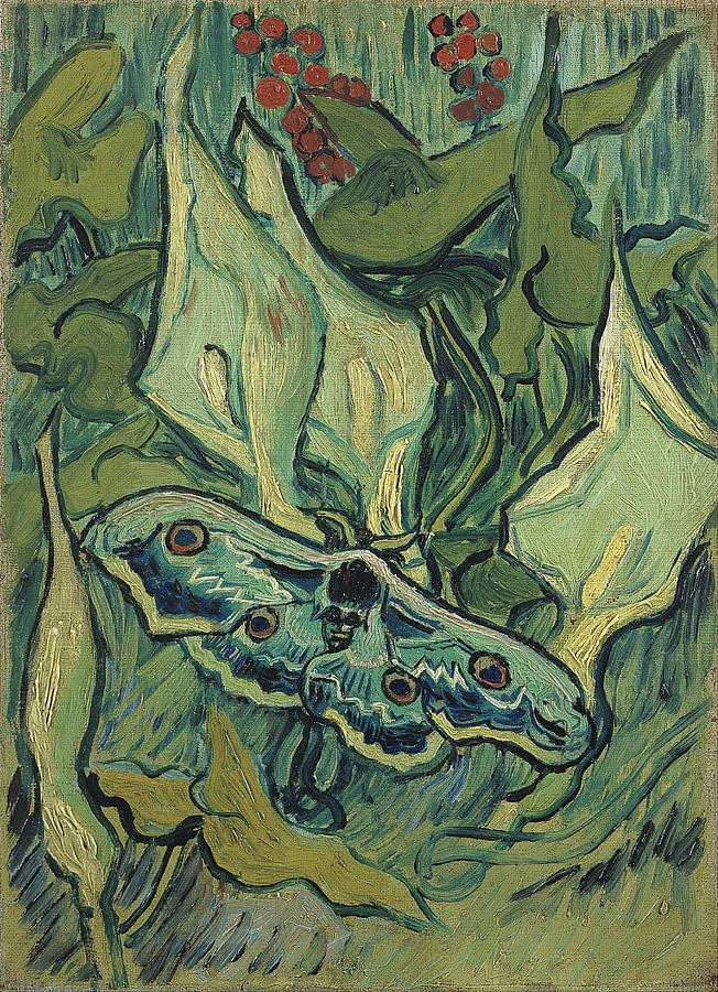 Emperor moth #8 Painting by Vincent van Gogh