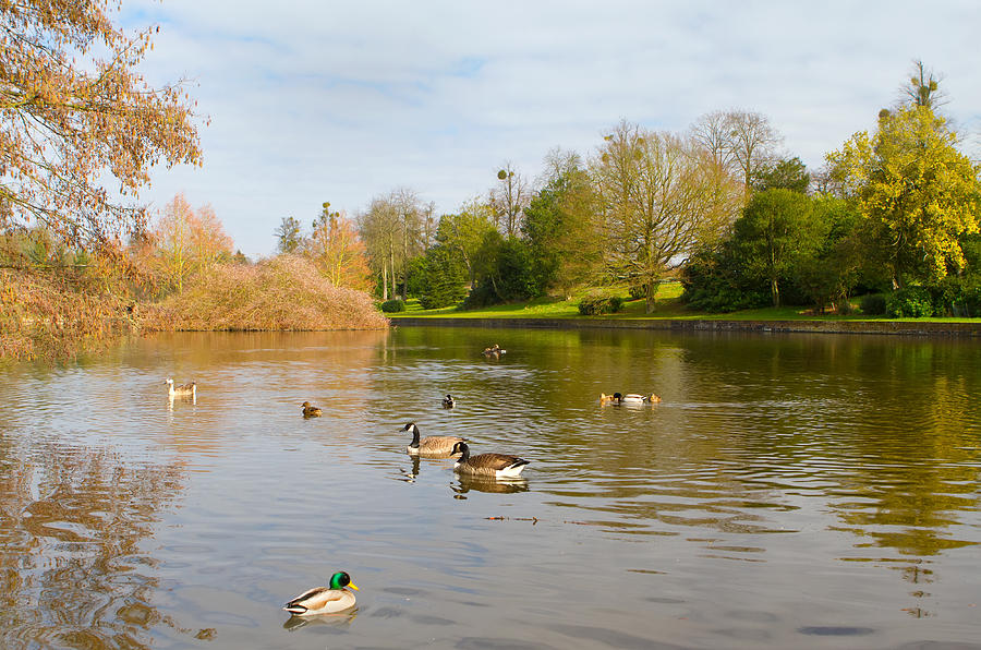 English Countryside Scene On A Cold Winter Day Photograph By Fizzy Image