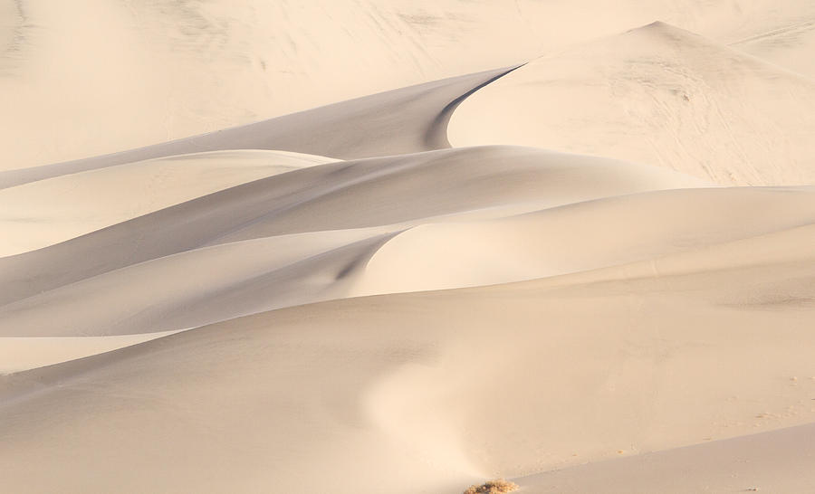 Death Valley National Park Photograph - Eureka dune #3 by Jean Noren