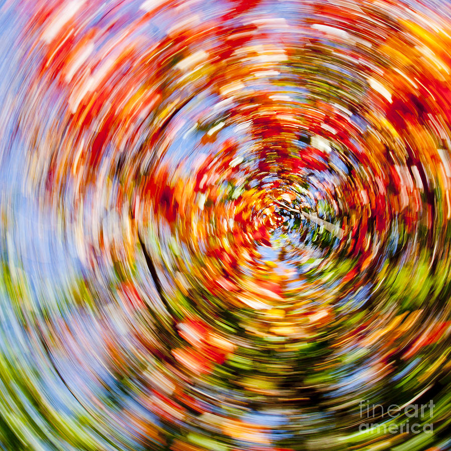 Fall abstract #6 Photograph by Steven Ralser