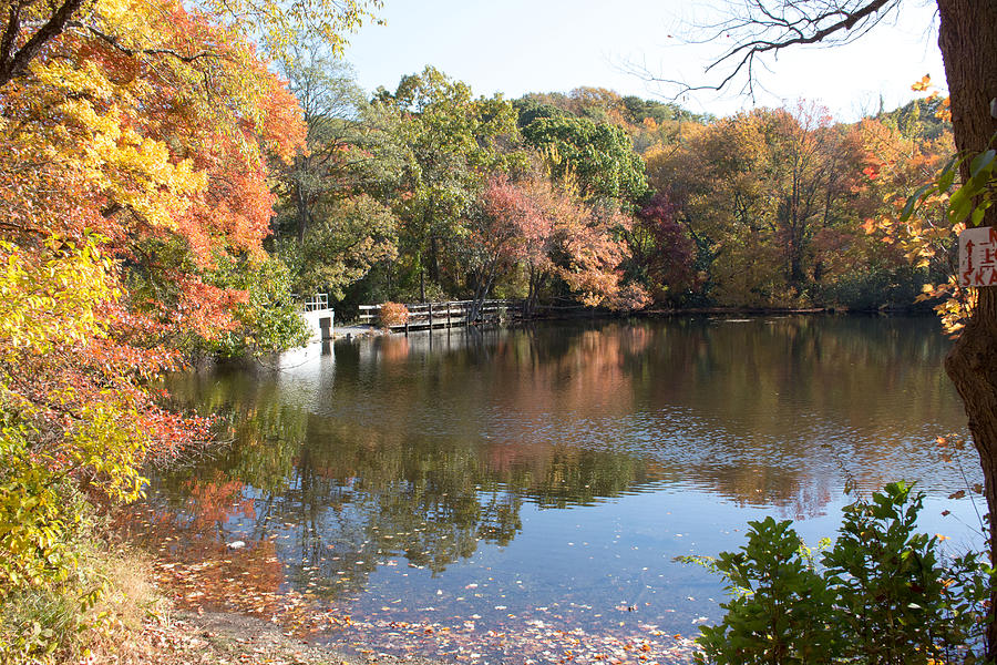 Fall Foliage at Twin Ponds  #3 Photograph by Susan Jensen