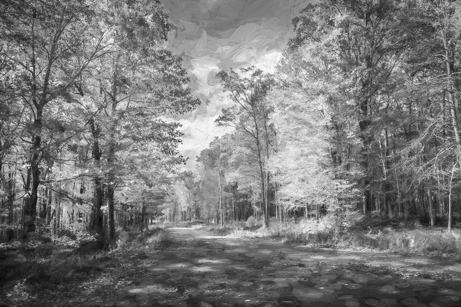 Fall Foliage Sussex County New Jersey Painted BW   #3 Photograph by Rich Franco