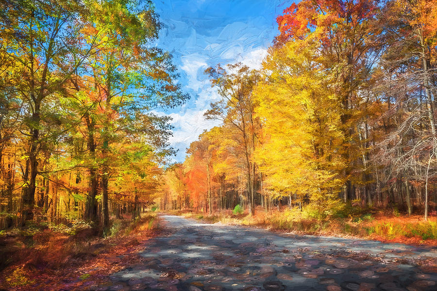 Country Road Fall Foliage Sussex County NJ  Photograph by Rich Franco