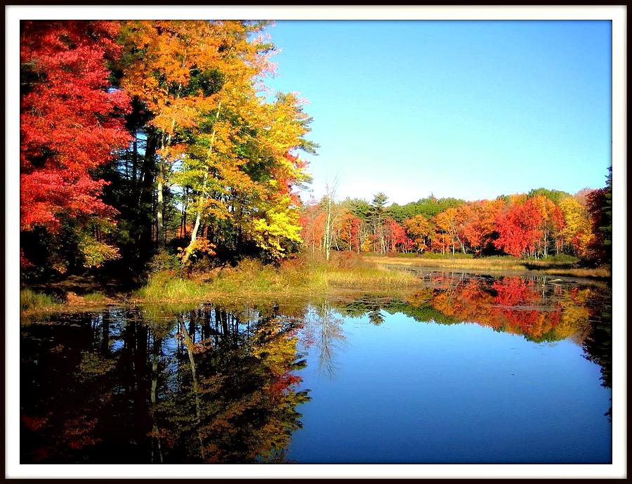 Fall in the Air Photograph by Amy Eggers | Fine Art America