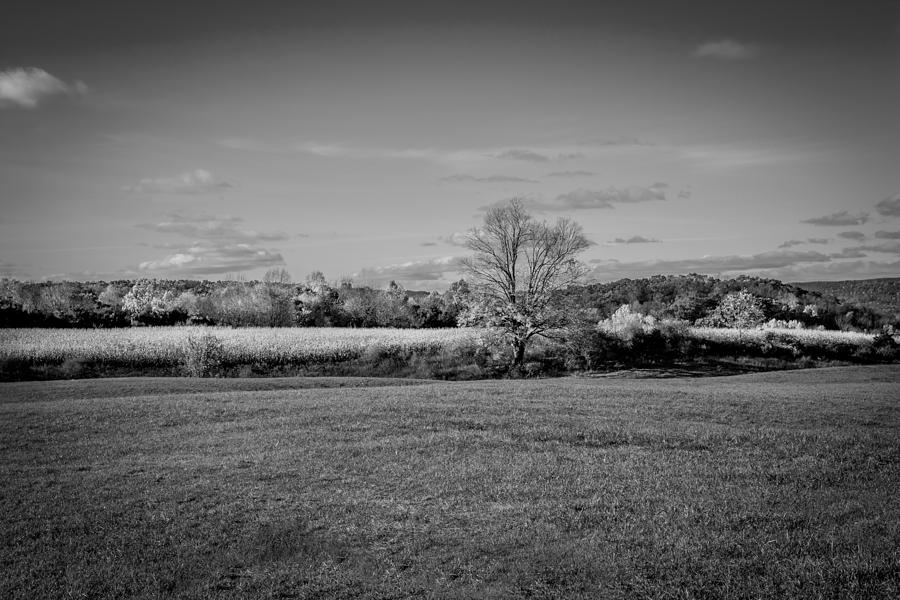 Farm Land Sussex County Western New Jersey Painted BW  #3 Photograph by Rich Franco
