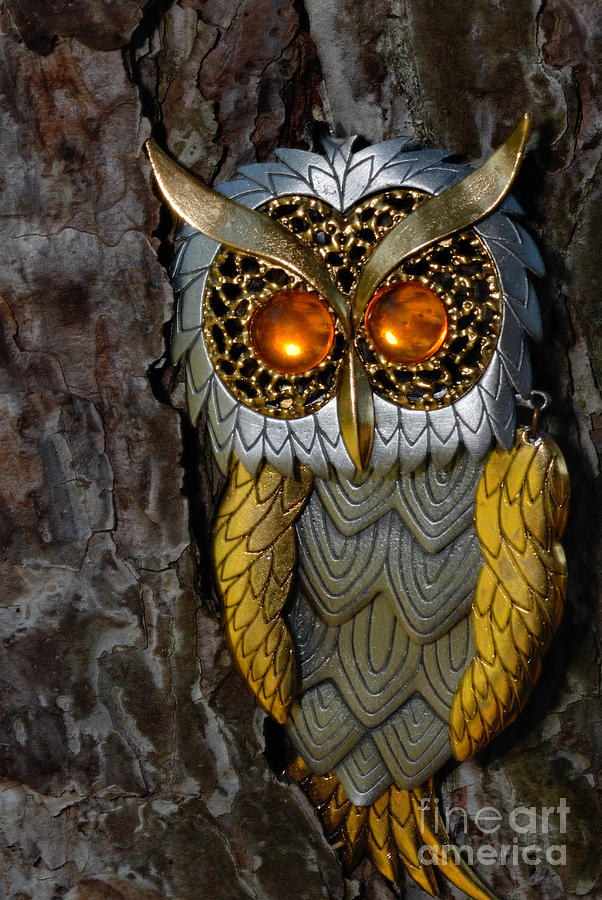 Faux Owl with Golden Eyes #3 Photograph by Amy Cicconi