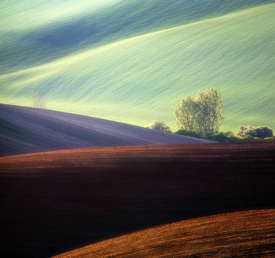 Fields... #3 Photograph by Krzysztof Browko