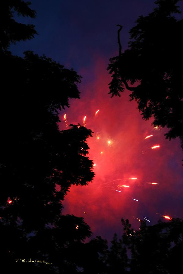 Fireworks Forest #3 Photograph by R B Harper