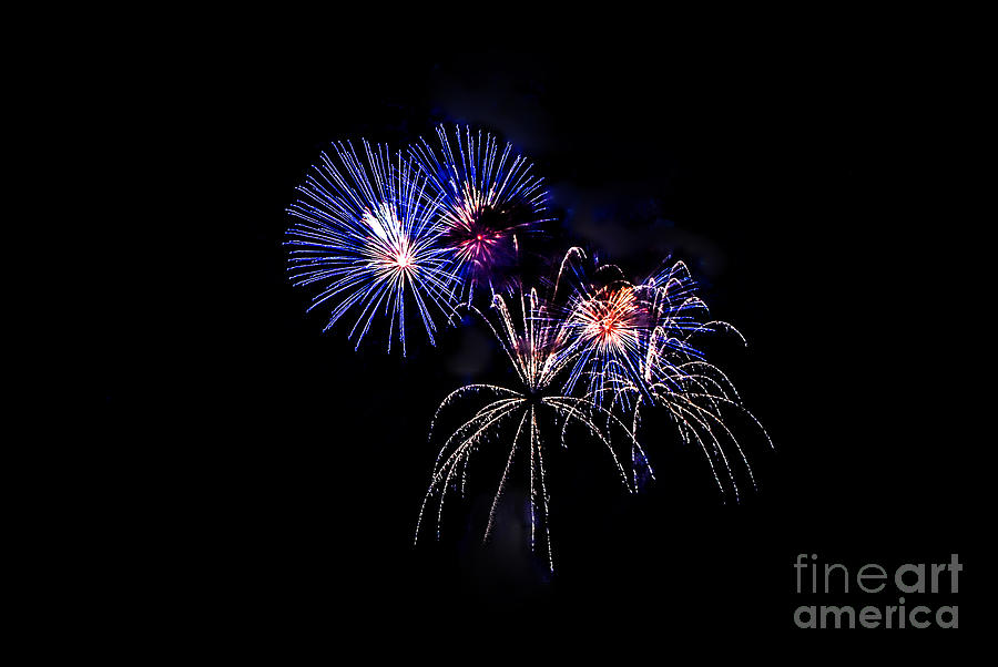 Fireworks #3 Photograph by Grace Grogan