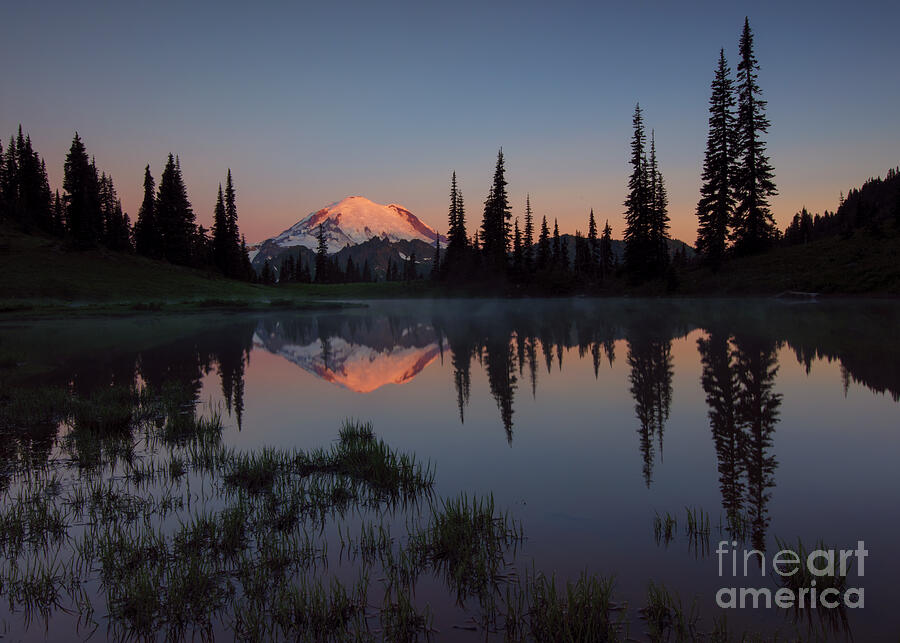 First Light on Mt. Rainier Photograph by Michael Dawson - Fine Art America