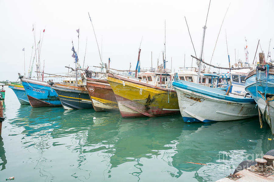 Fishing Boats In Tangalle Port Photograph