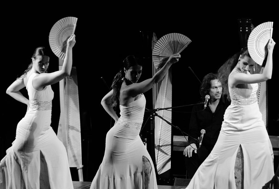 Flamenco #6 Photograph by AM FineArtPrints