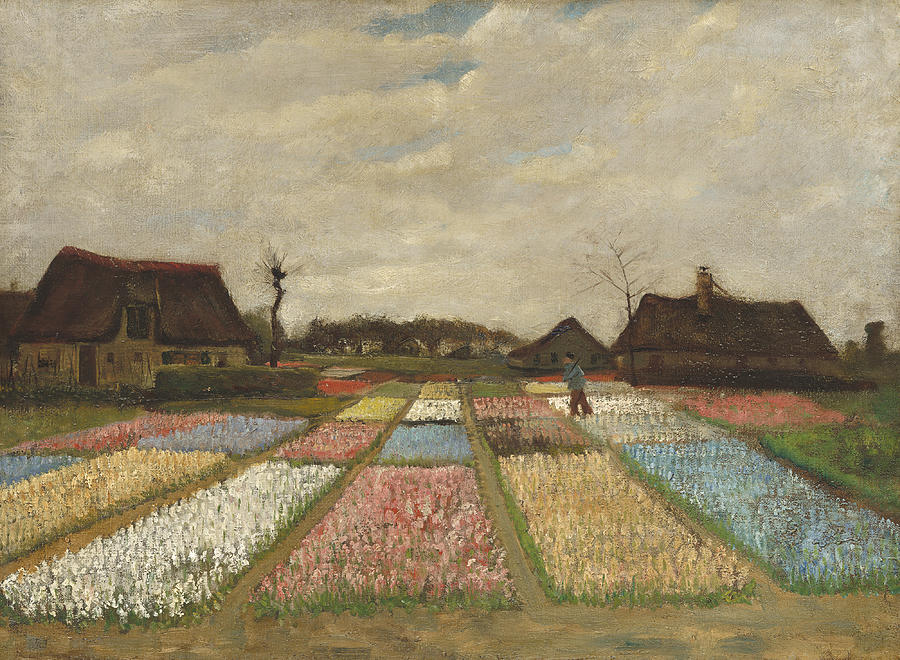 Flower Beds in Holland #4 Photograph by Vincent Van Gogh