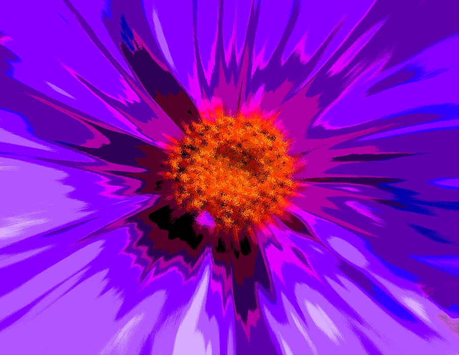 Flower Explosion Colour #3 Photograph by David French