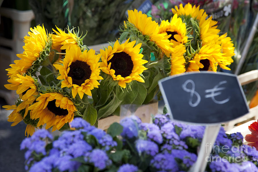 Flowers At Market Photograph