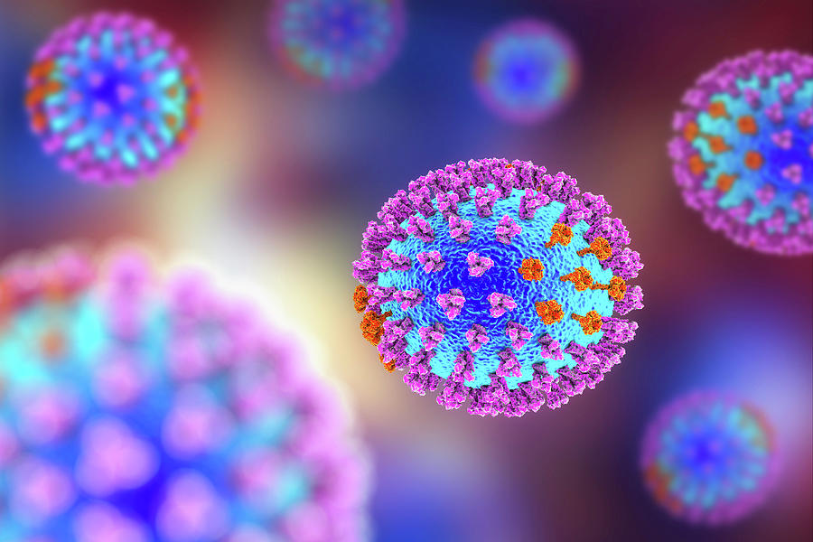 Flu Viruses Photograph by Kateryna Kon/science Photo Library - Fine Art ...