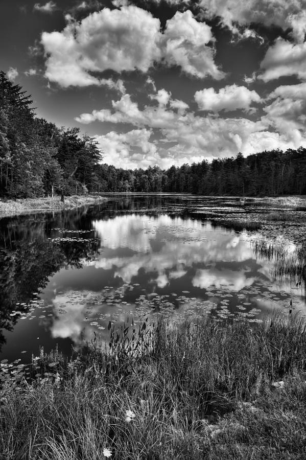 Fly Pond in the Adirondacks #3 Photograph by David Patterson