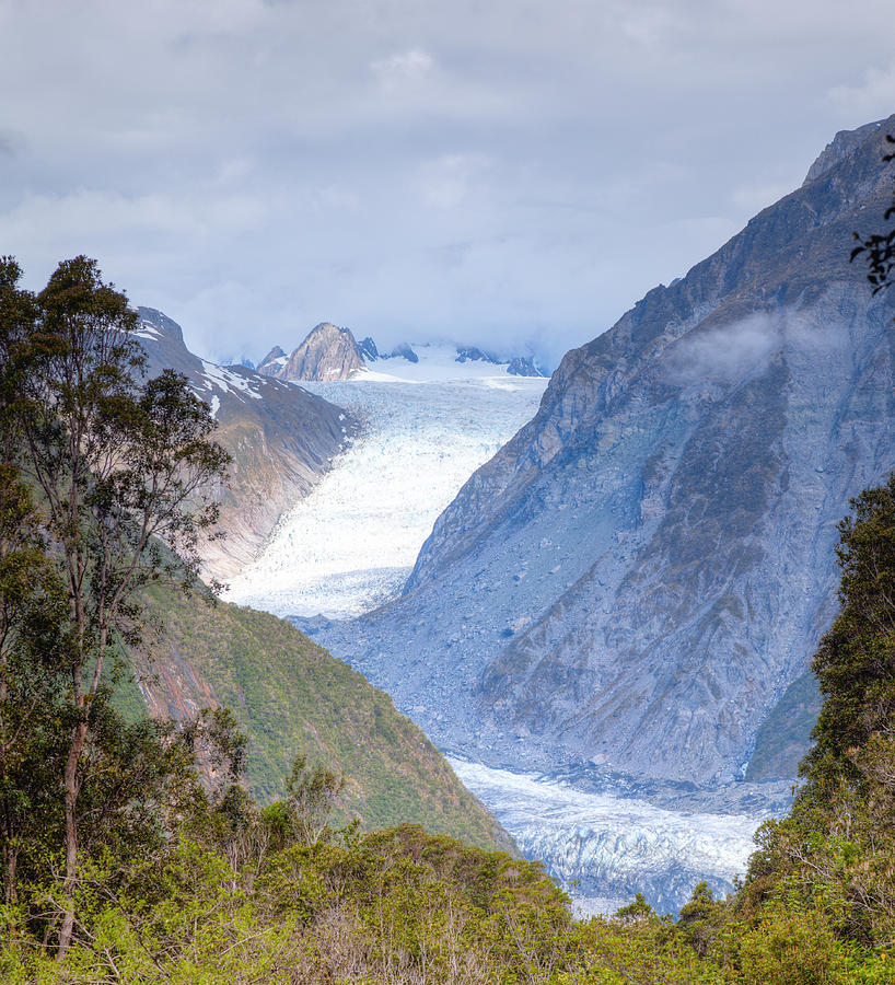 Fox Glacier #1 Photograph by Alexey Stiop