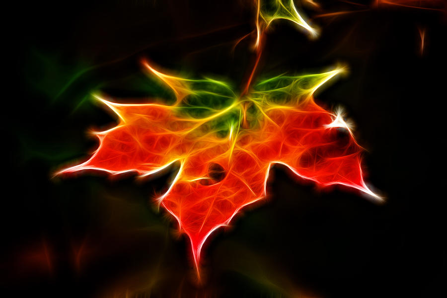 Fractal Maple leaf #3 Photograph by Prince Andre Faubert