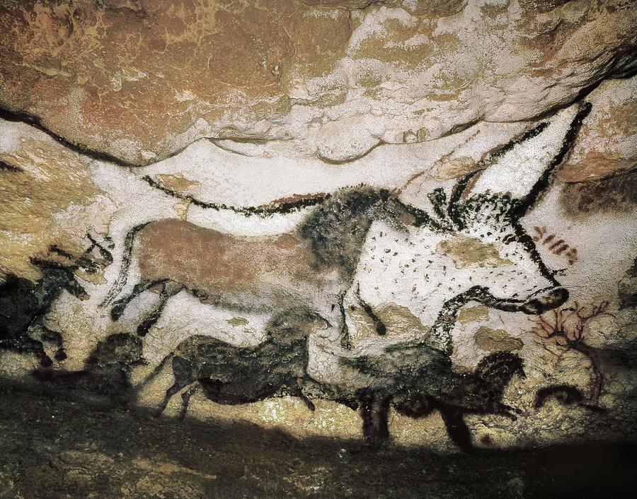 Prehistoric Photograph - France. Montignac. The Cave Of Lascaux #3 by Everett