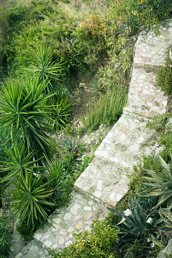 Greek Photograph - Garden path #3 by Tom Gowanlock
