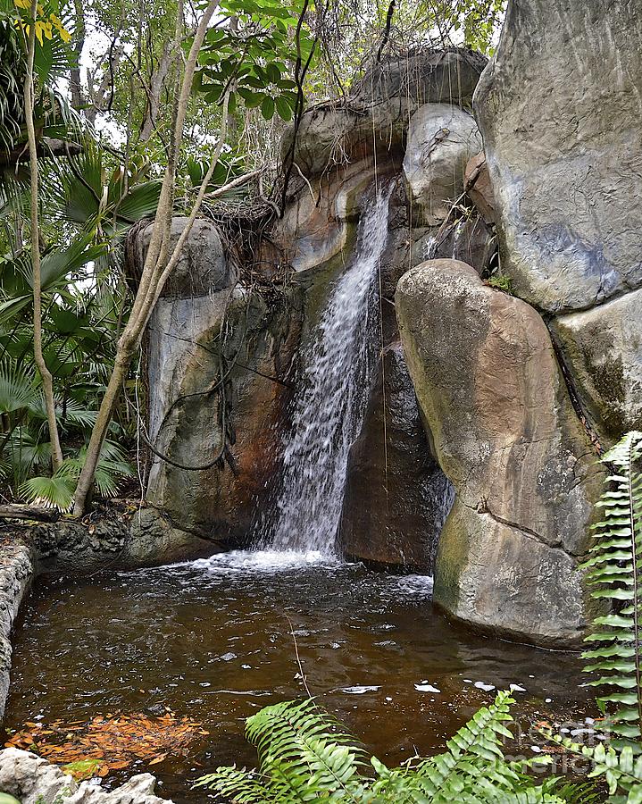 Garden Waterfall #3 Photograph by Carol  Bradley