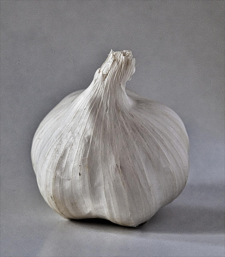 Garlic #3 Photograph by Robert Ullmann