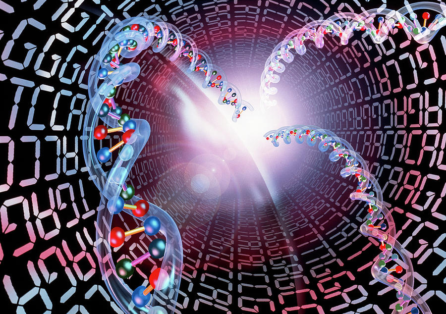 Genetics Photograph - Genetic Code #3 by Alfred Pasieka/science Photo Library