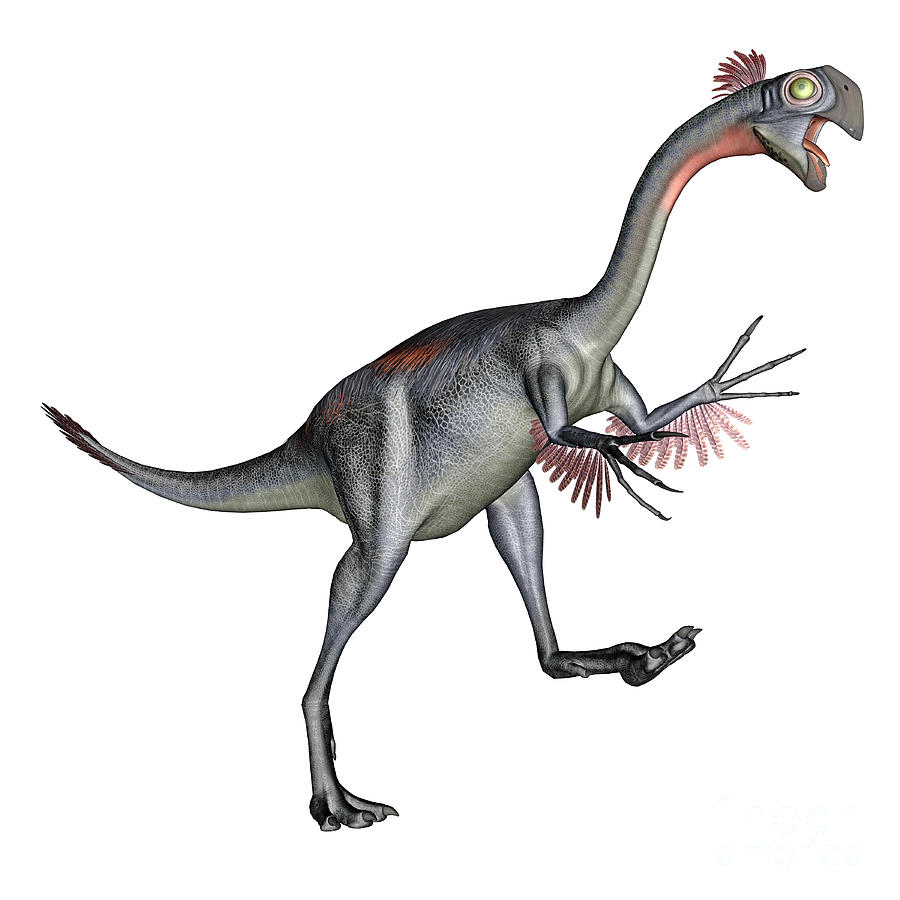 dinosaur with white head