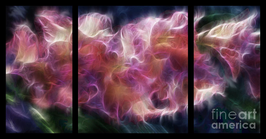 Space Digital Art - Gladiola Nebula Triptych #2 by Peter Piatt