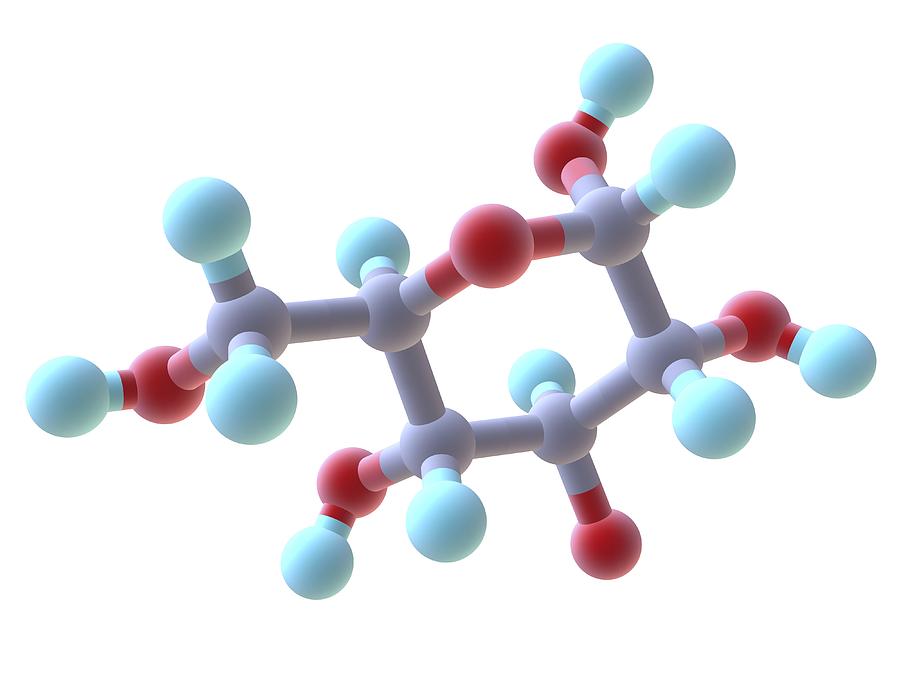 Как выглядит молекула сахара фото