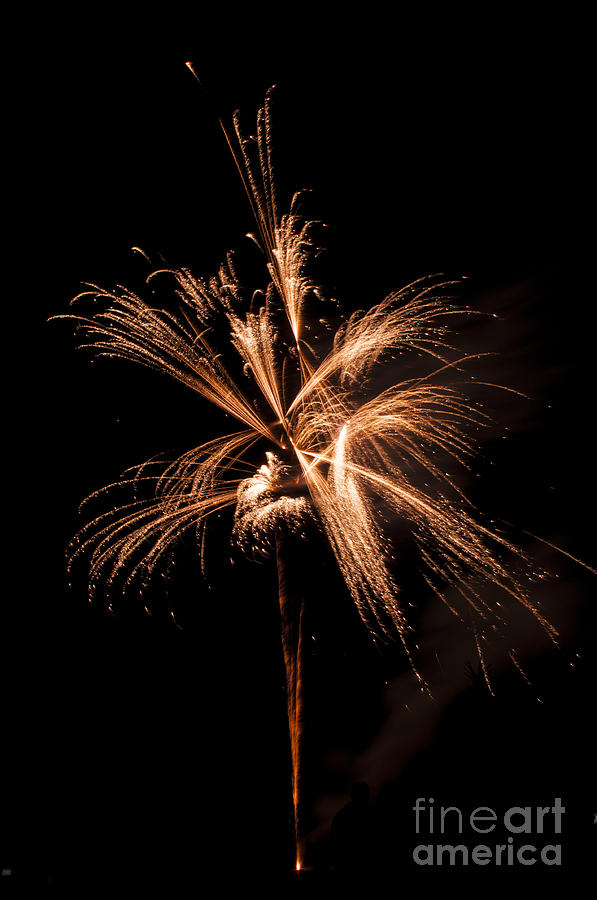 Salem Photograph - Gold Fireworks #3 by M J