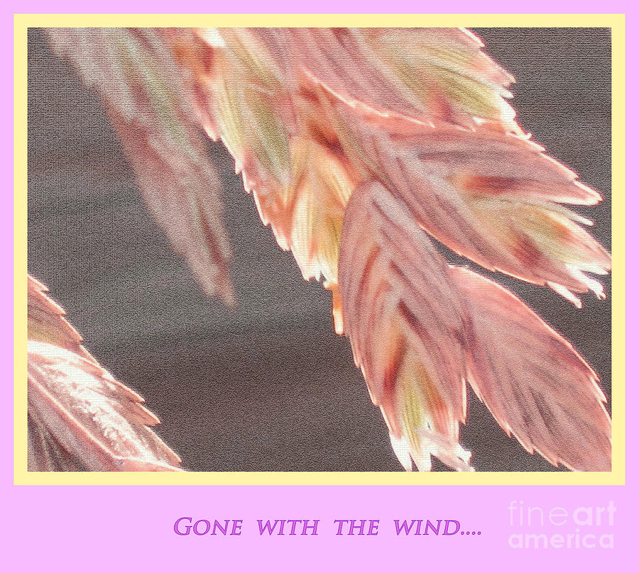 Gone With The Wind #3 Photograph by Susanne Van Hulst