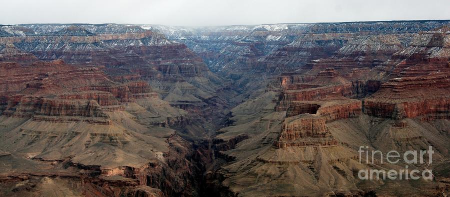 Grand Canyon #3 Photograph by Diane Lesser