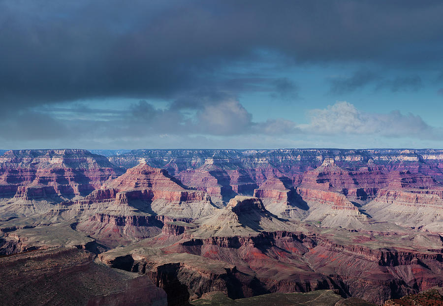 Grand Canyon National Park #3 Photograph by Ed Freeman