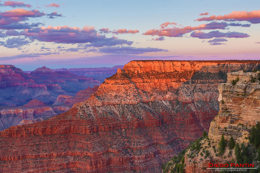 Grand Canyon Series #3 Photograph by Diego Pantin - Fine Art America