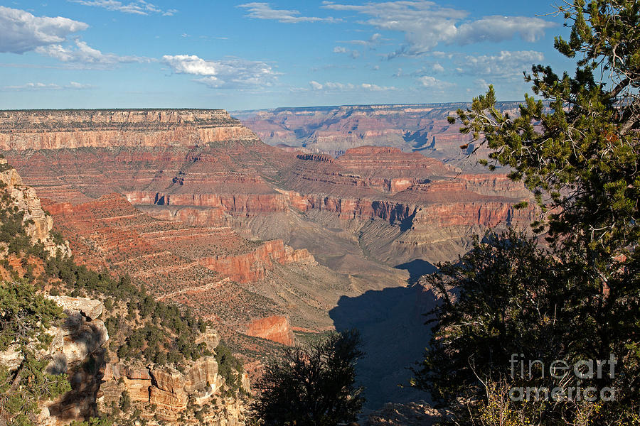 Grandview Point Grand Canyon National Park #3 Photograph by Fred Stearns
