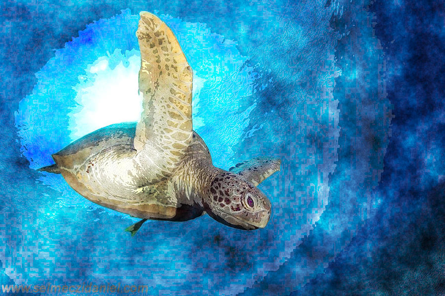 Green Turtle #7 Painting by MotionAge Designs