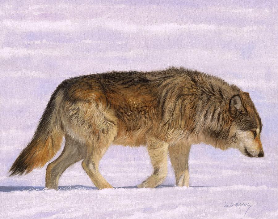 Wolves Painting - Grey Wolf #4 by David Stribbling