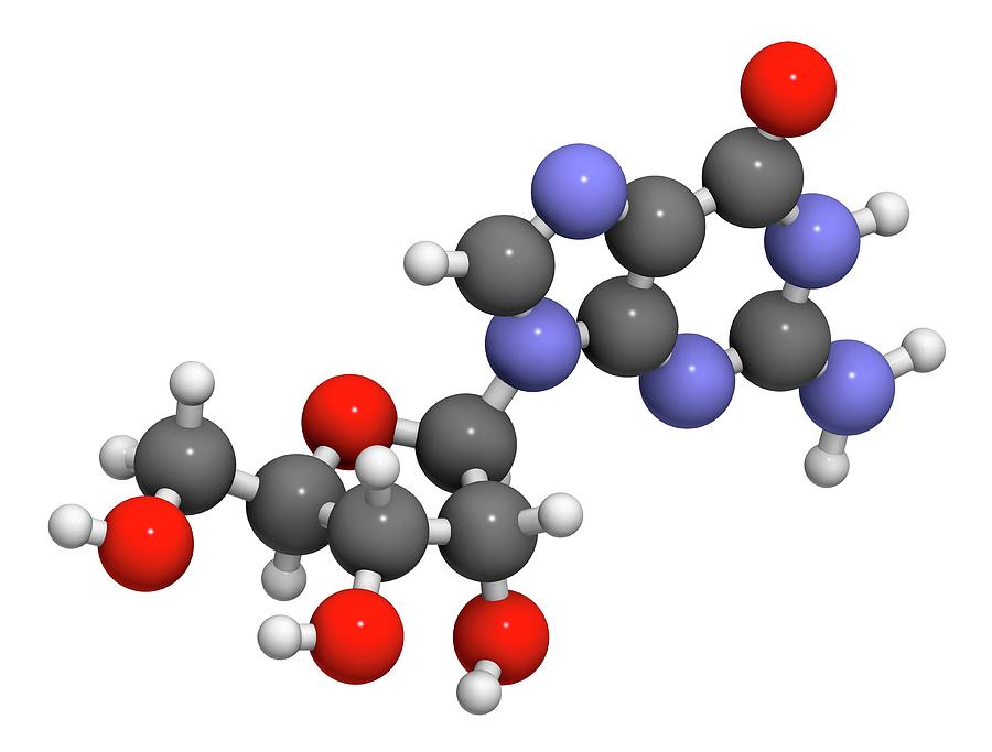 Guanosine Purine Nucleoside Molecule #3 Photograph by Molekuul