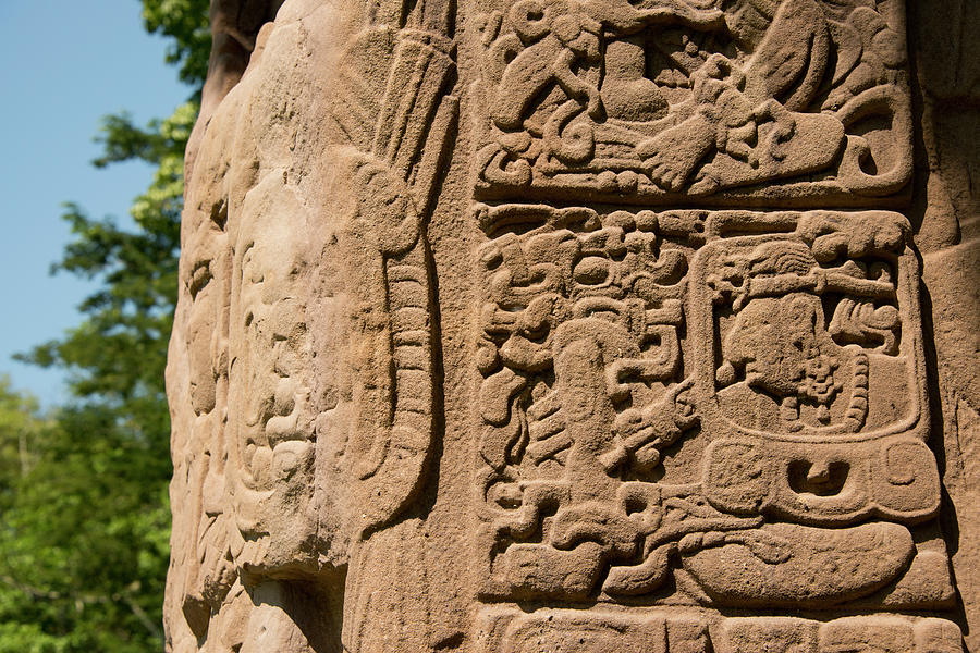 Mayan Photograph - Guatemala, Quirigua Mayan Ruins #3 by Cindy Miller Hopkins