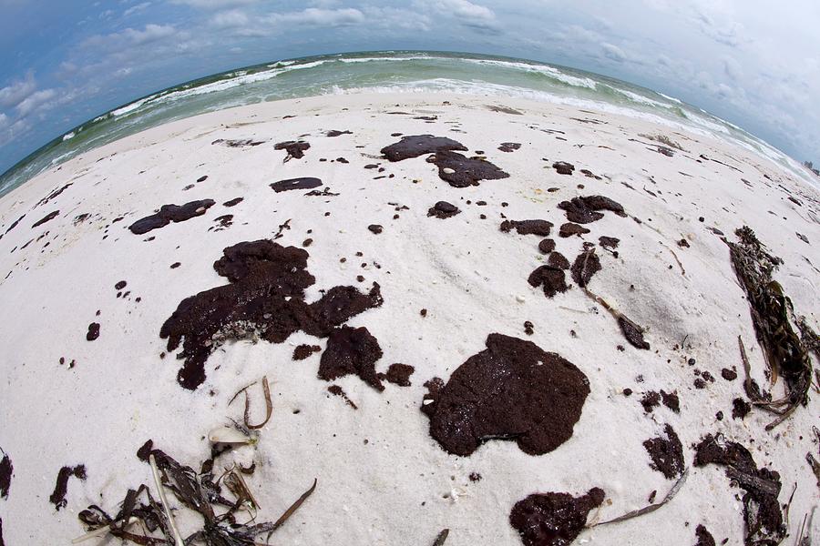 Gulf Of Mexico Oil Spill #3 Photograph by Jim Edds/science Photo Library