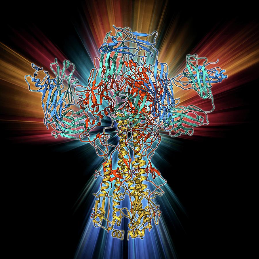 Haemagglutinin Viral Surface Protein #3 Photograph by Laguna Design