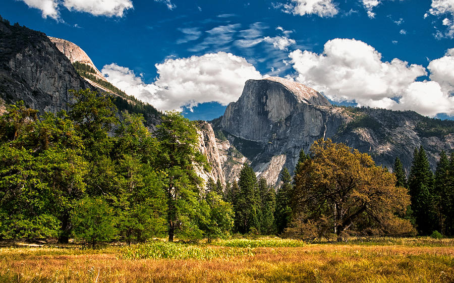 Yosemite National Park Photograph - Half Dome #1 by Cat Connor