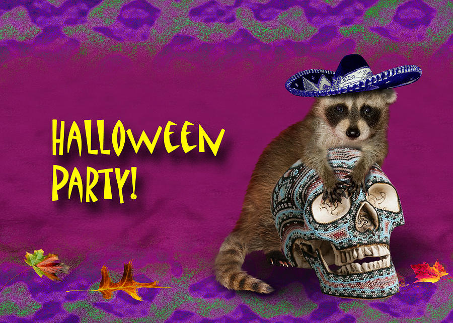 Candy Photograph - Halloween Party Raccoon #3 by Jeanette K