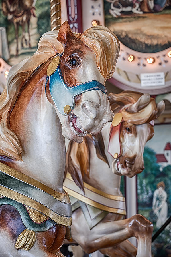 Hampton Carousel Horse Series #3 Photograph by Jeff Abrahamson