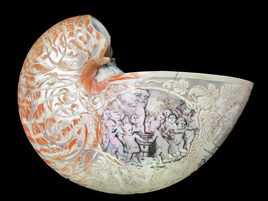 Hans Sloanes Nautilus Shell #3 Photograph by Natural History Museum, London