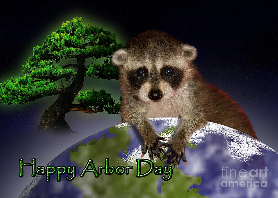 Nature Photograph - Happy Arbor Day Raccoon #3 by Jeanette K