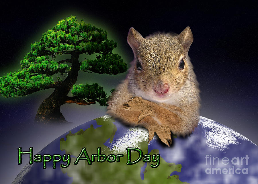 Nature Photograph - Happy Arbor Day Squirrel #3 by Jeanette K