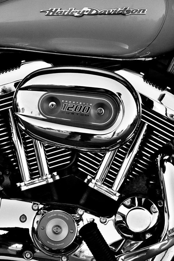 Harley Davidson Sportster 1200 #3 Photograph by David Patterson